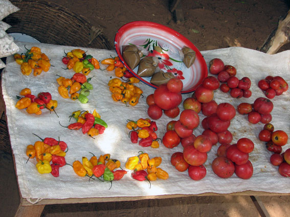 Etal de légumes